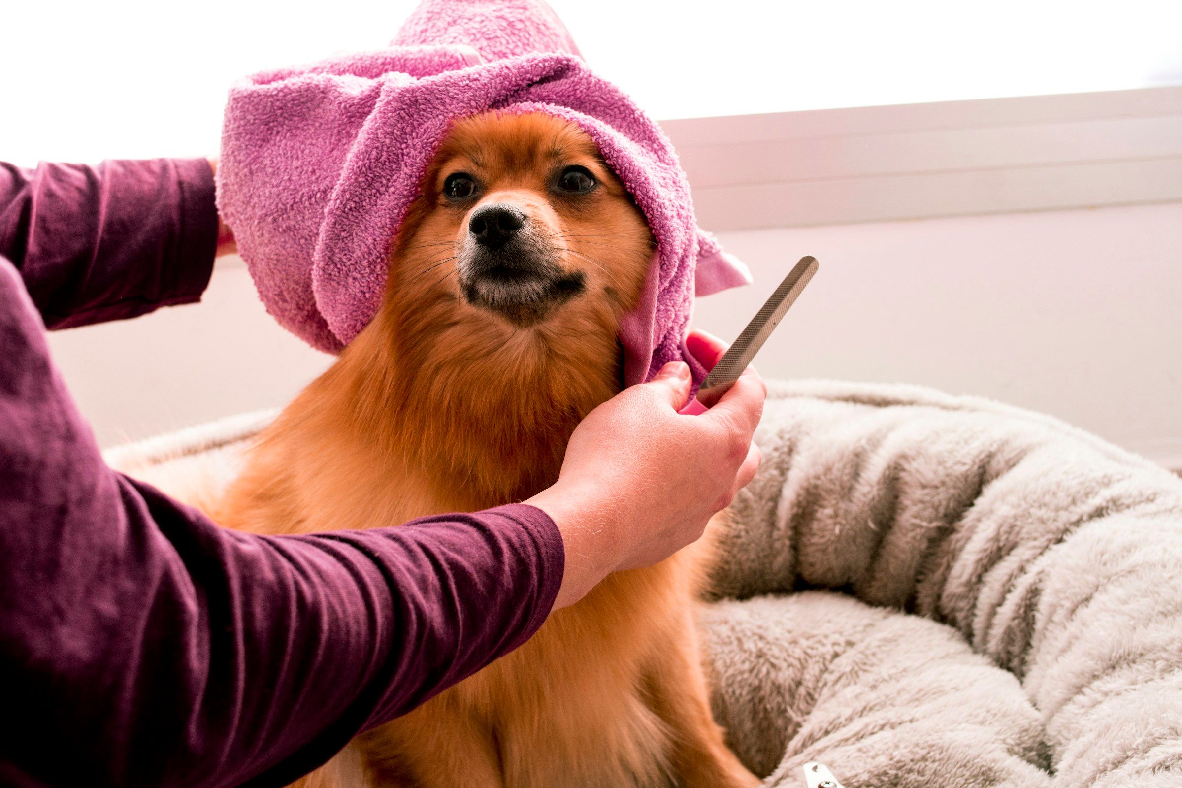 Blueberry Oatmeal Facial & Full Body Conditioning